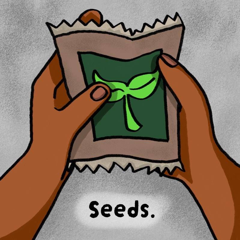 Book page: hands holding a small seed packet — Seeds.